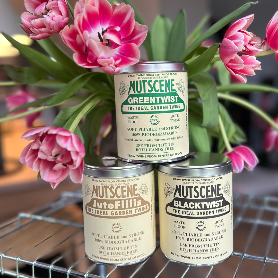 Jutesnor i dåse - sort - Nutscene®