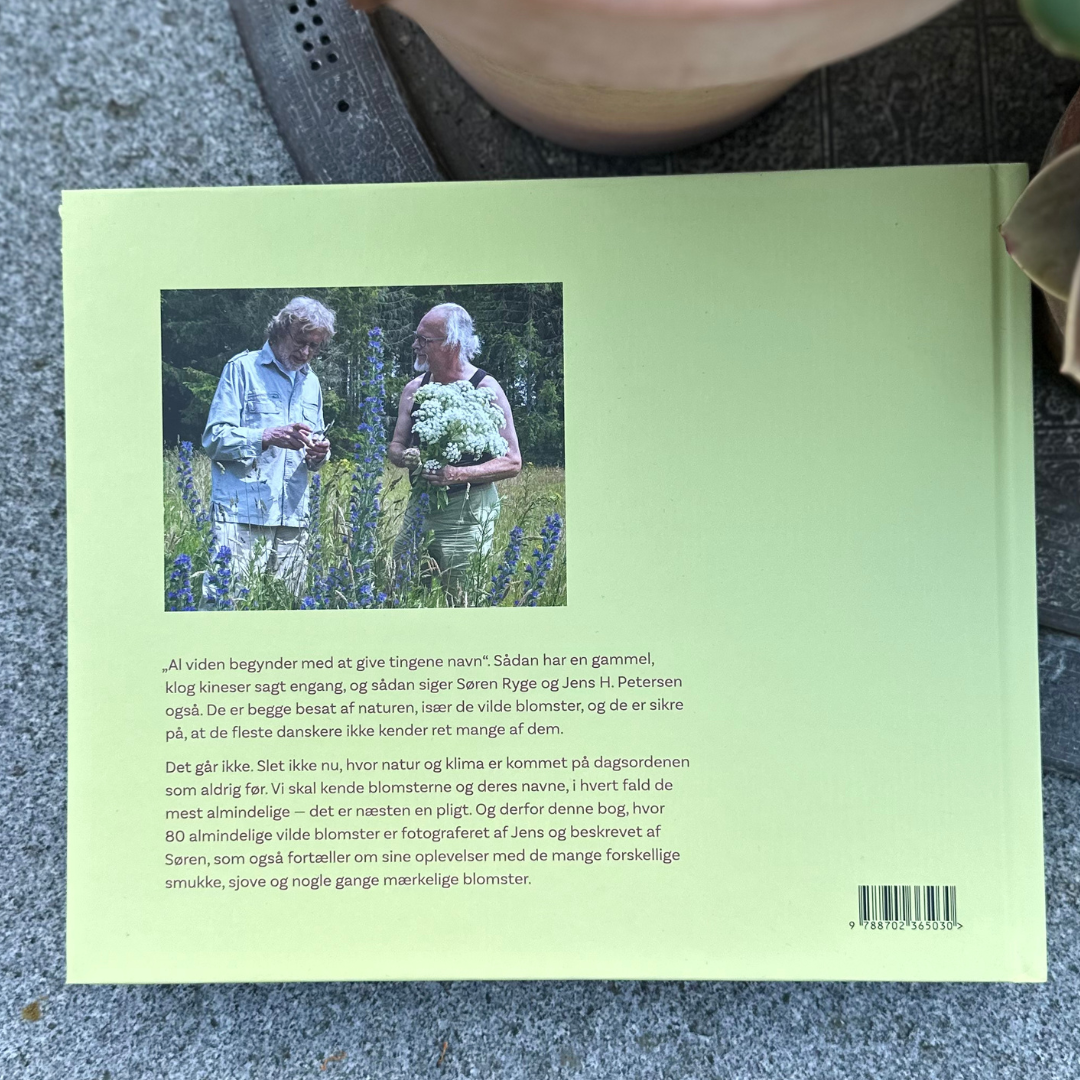 80 vilde blomster du gerne vil kende