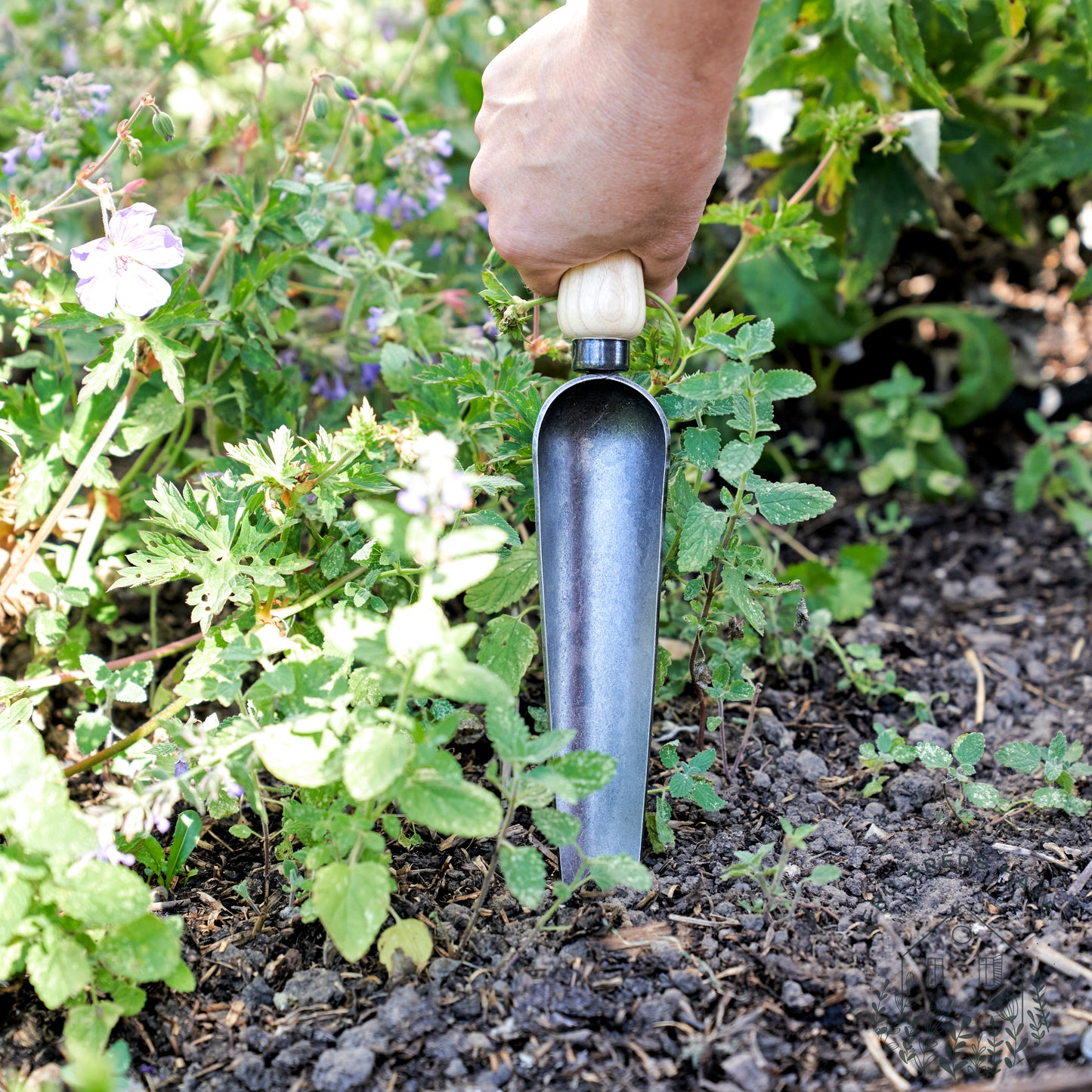 luge - og planteske. håndholdt. haveredskab. Dewit