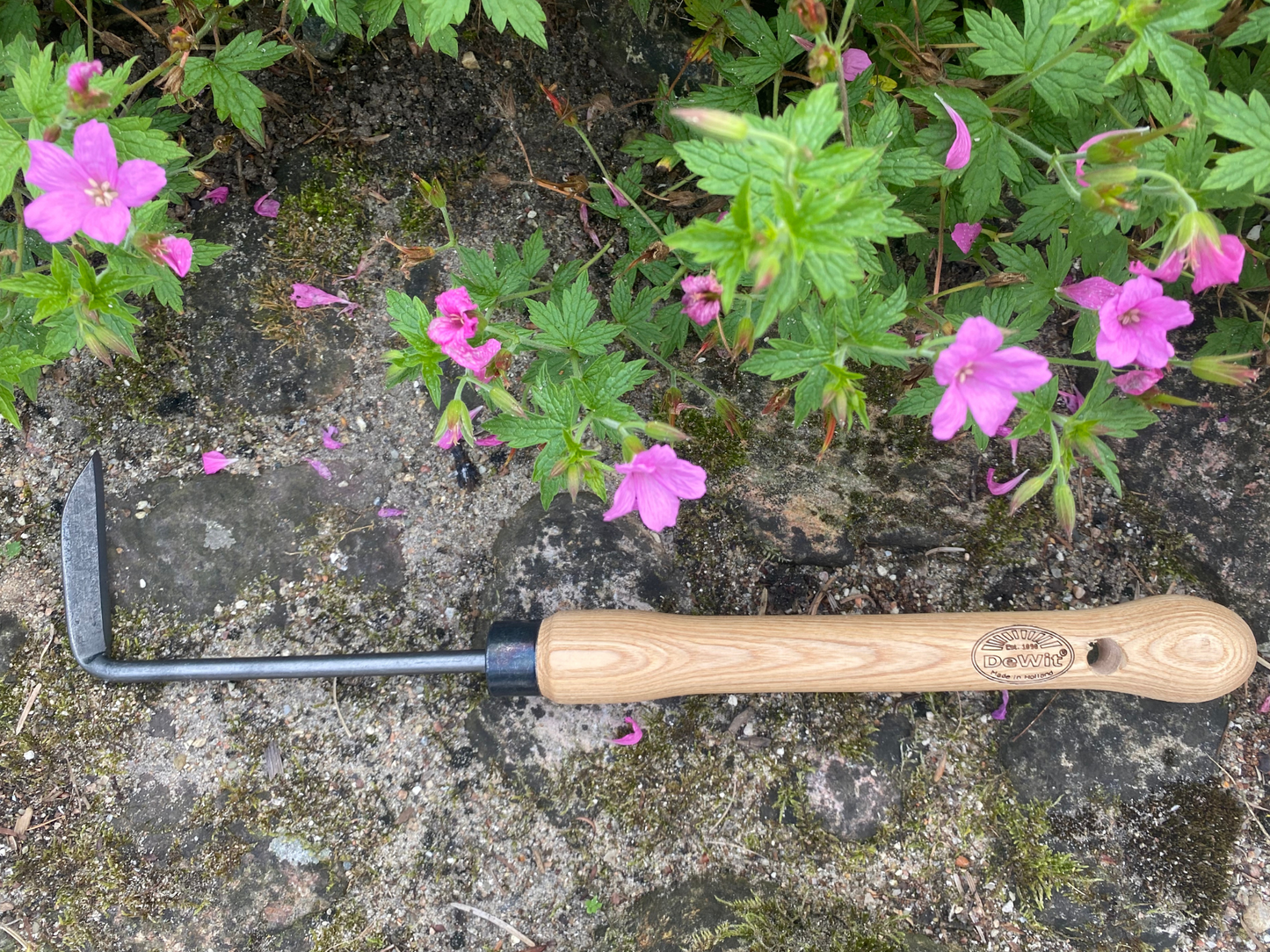 Cape Cod lugejern, venstre, medium greb