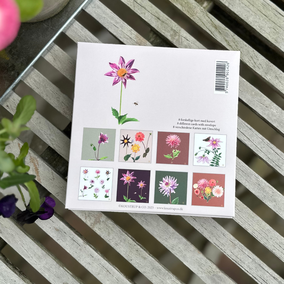 8 stk. Dahlia kort med kuvert