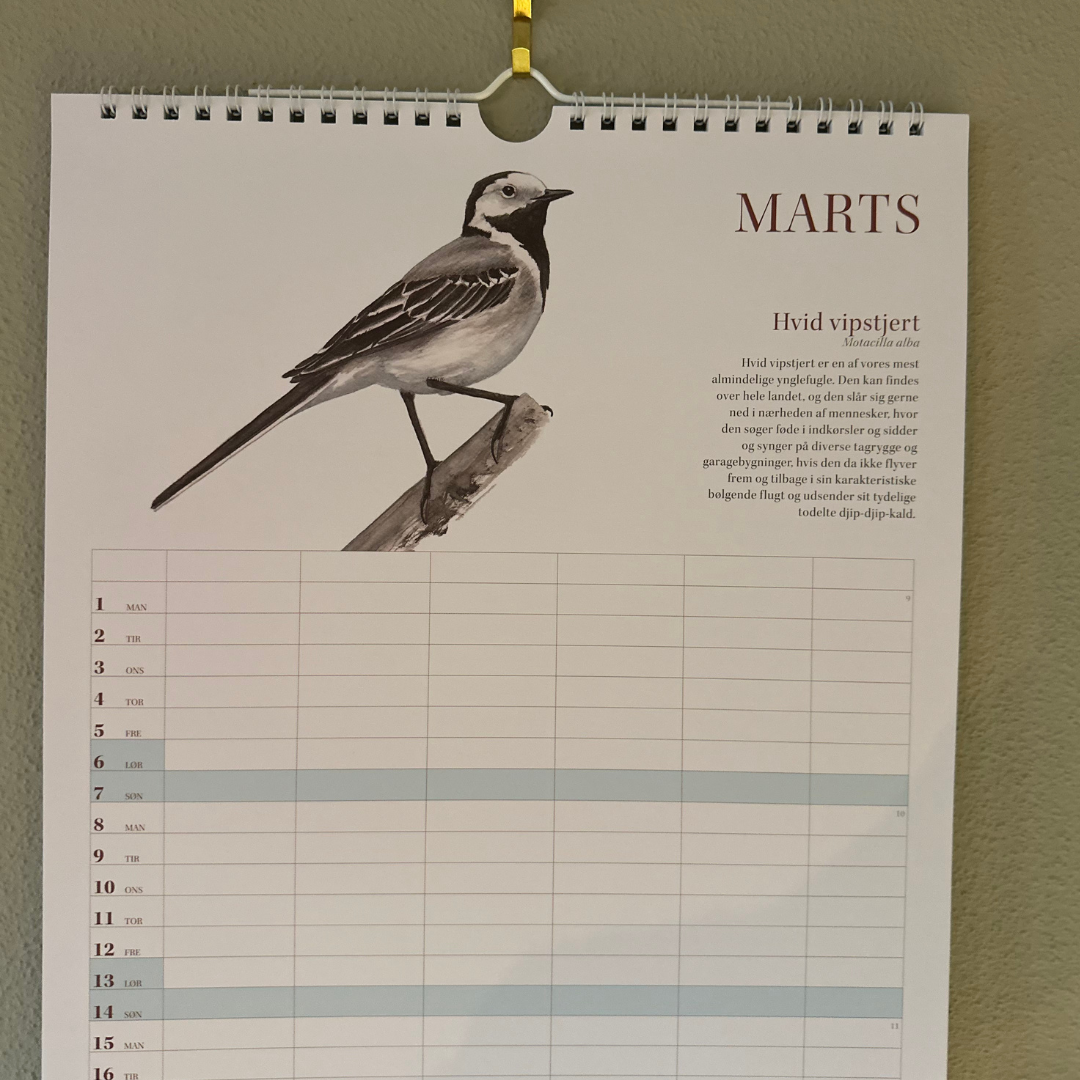 Fugle i haven – familiekalender 2027