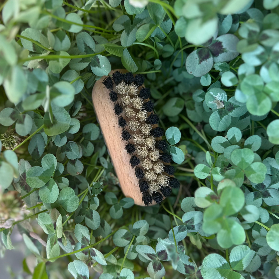 Neglebørste med mørke og lyse svinebørster