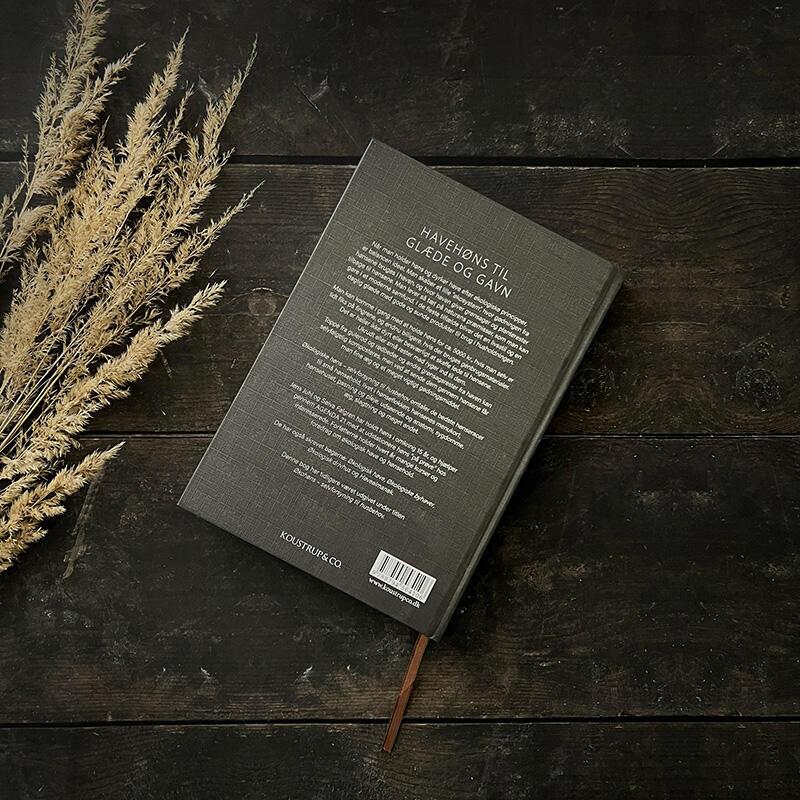 Økologiske Høns – Selvforsyning til husbehov