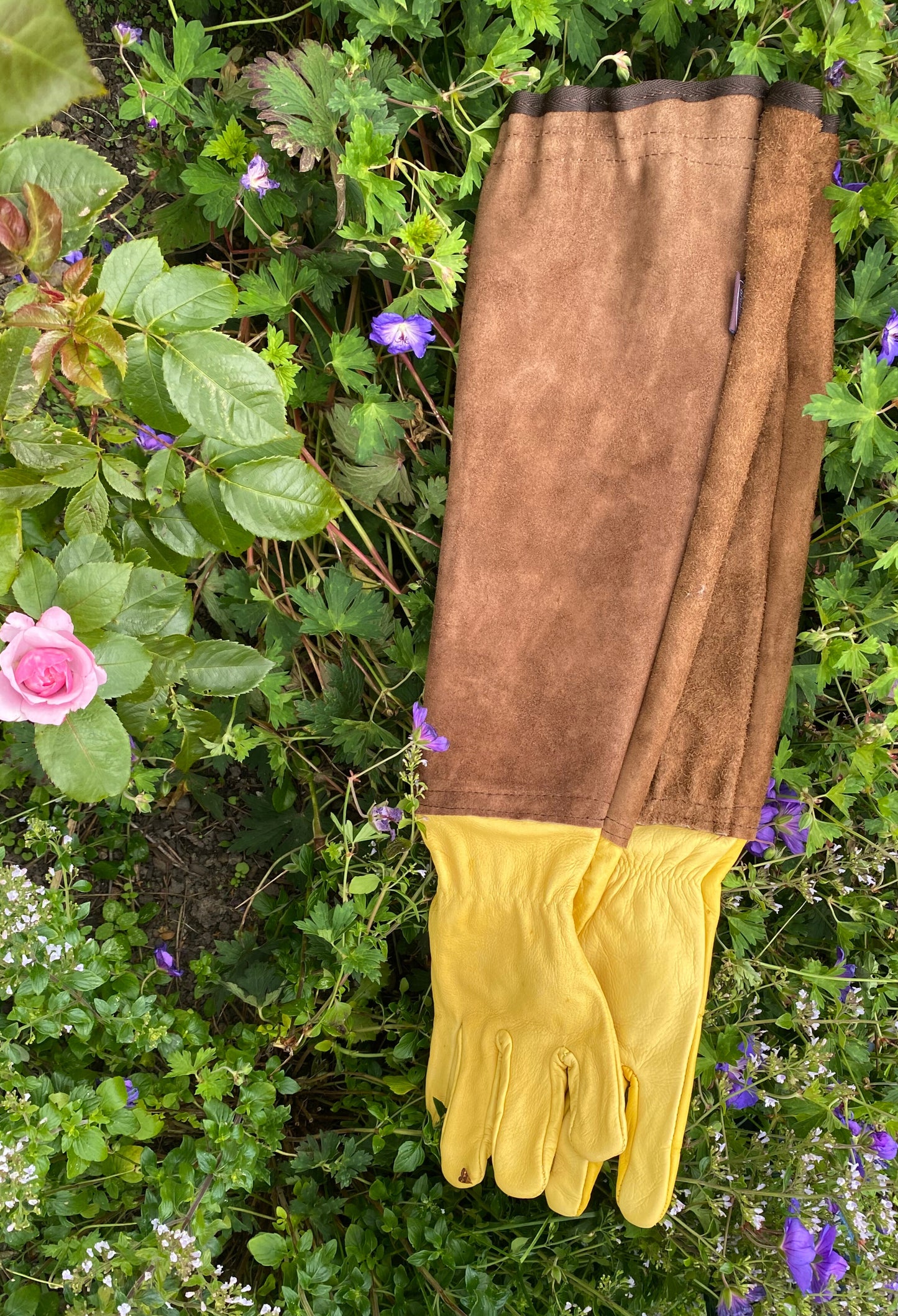 Lang Rosenhandske str. L