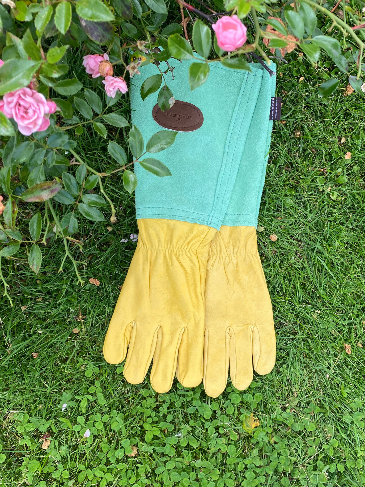 Rosenhandsker str L bradleys Grøn