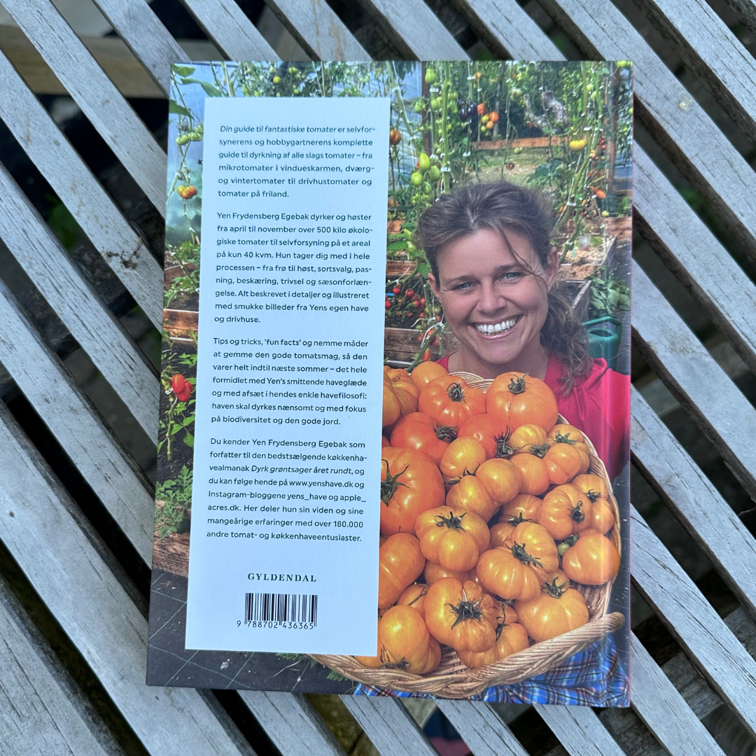 Din guide til fantastiske tomater