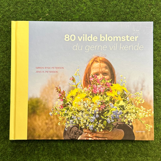 80 vilde blomster du gerne vil kende
