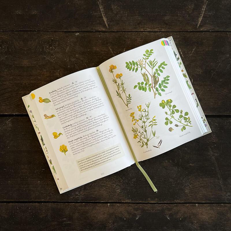 Flora - Kend naturens blomster