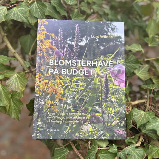 Blomsterhave på budget - udgives 10/3 men kan bestilles nu