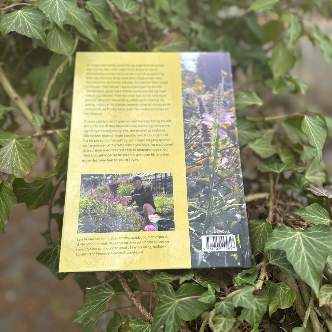 Blomsterhave på budget