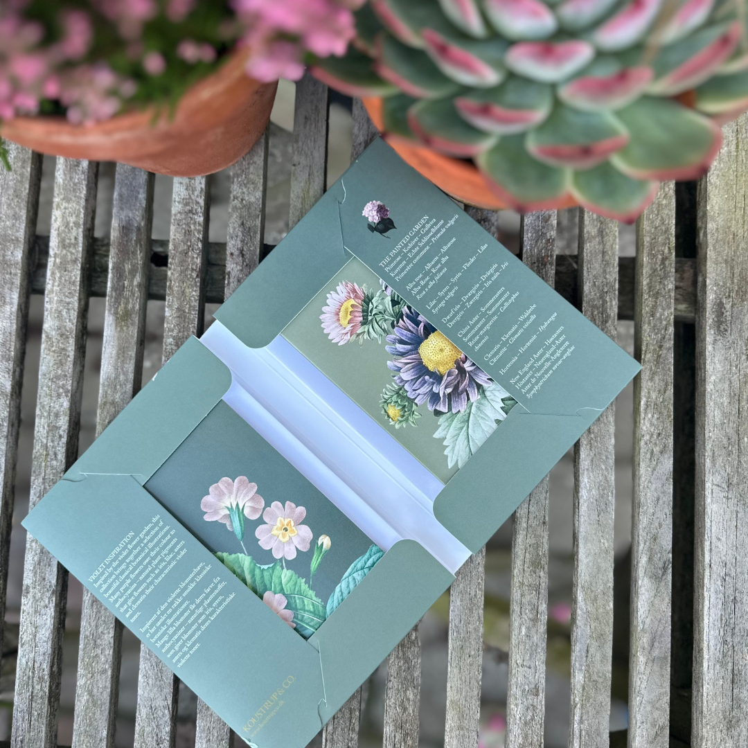 THE PAINTED GARDEN - VIOLET - 8 KORT