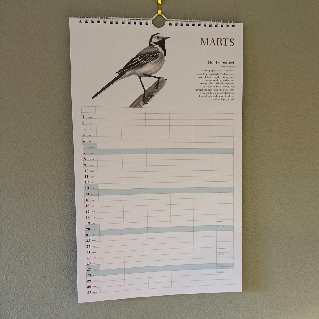 Fugle i haven – familiekalender 2027