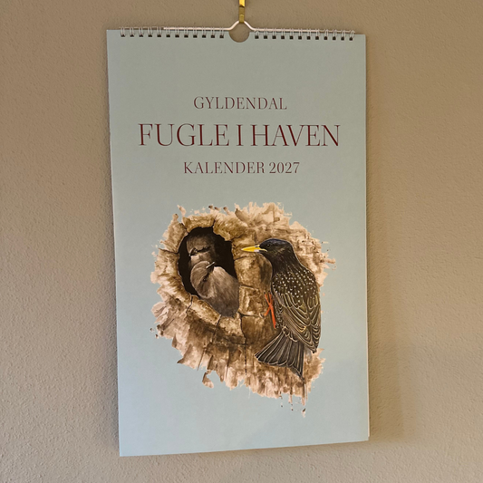 Fugle i haven – familiekalender 2027