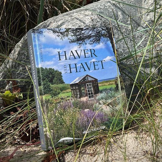 Haver ved havet