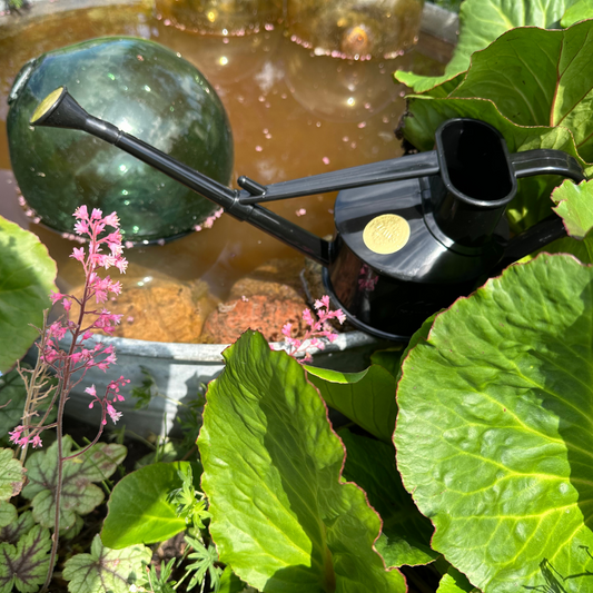 HAWS - The Langley Sprinkler - vandkande