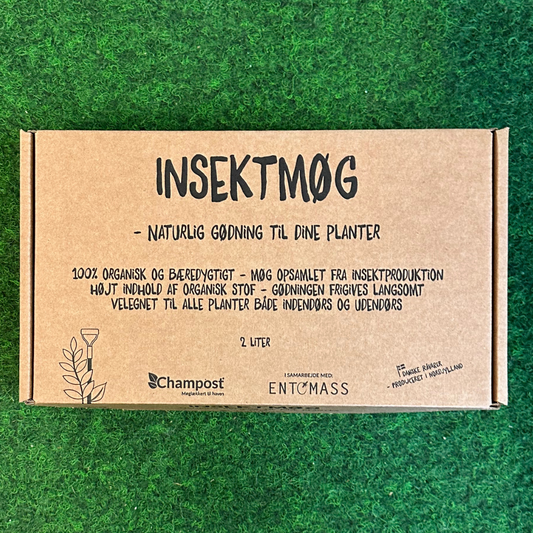 Insektmøg