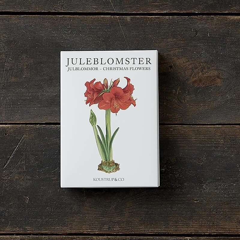 JULEBLOMSTER – Kvadratisk kortmappe