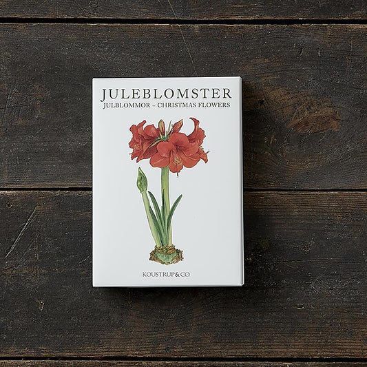 JULEBLOMSTER – Kvadratisk kortmappe
