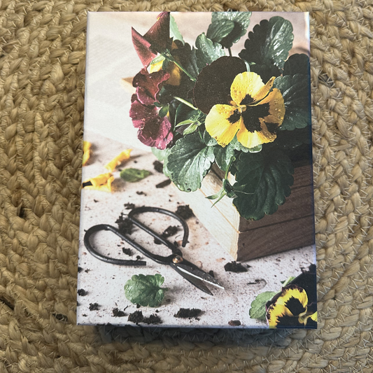 Kortæske med violer – 20 kort