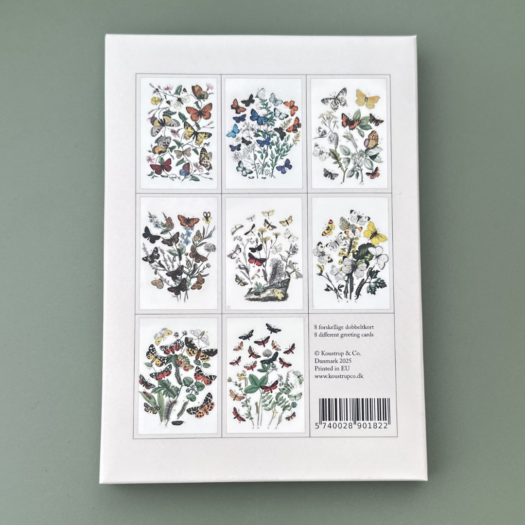 Kortmappe - Sommerfugl