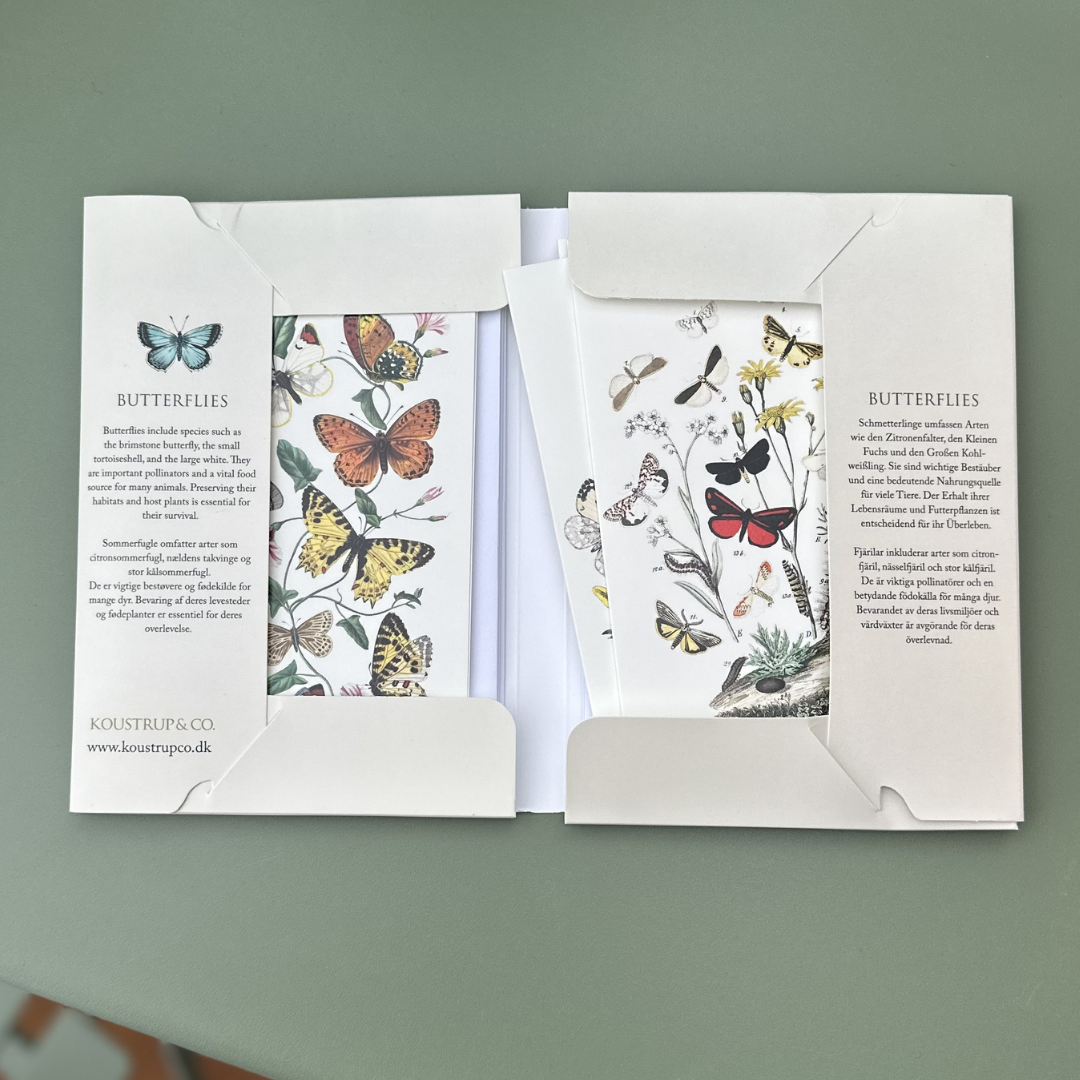 Kortmappe - Sommerfugl