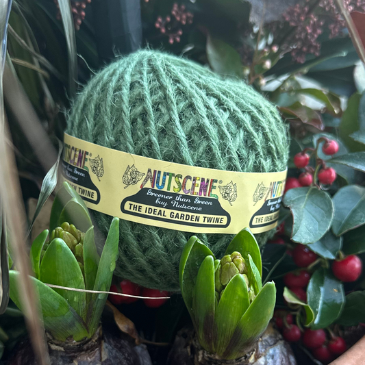 Jutesnor - grøn- 40 m - Nutscene®