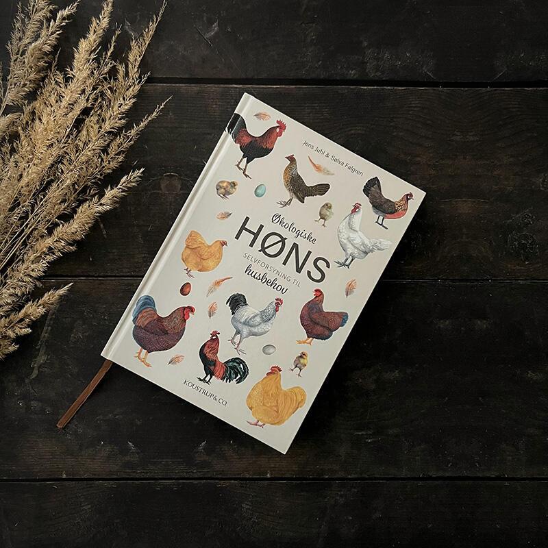 Økologiske Høns – Selvforsyning til husbehov