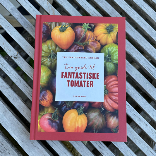 Din guide til fantastiske tomater